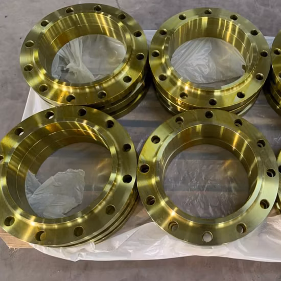 ANSI B16.5 Pn10 RF Aço Carbono A105 Th Flange para Projetos de Plantas Use Flange Rosqueado de Aço Inoxidável