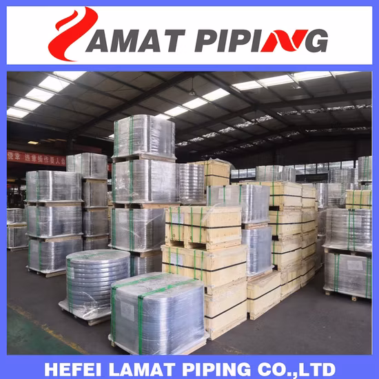 Flange de orifício de pescoço de solda forjada com parafuso de macaco