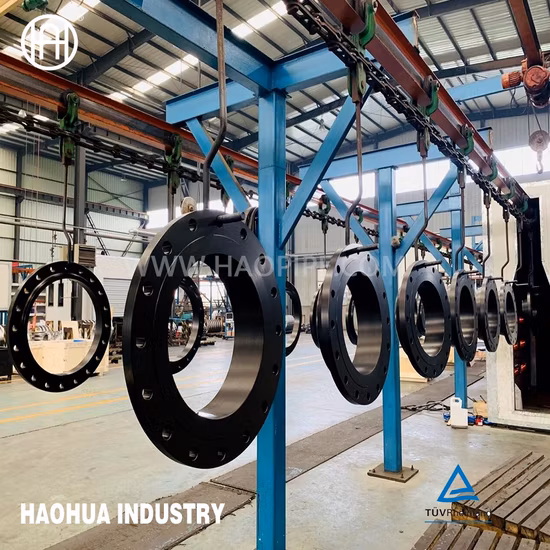 Flange de redução de pescoço de solda F53 S32750 3