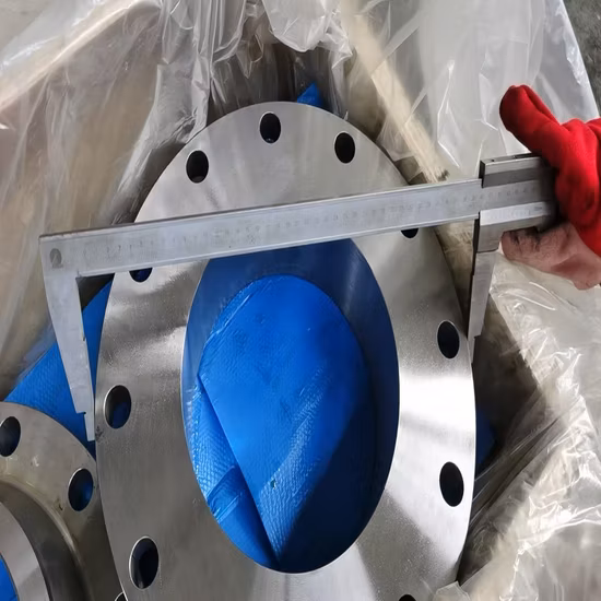 Venda imperdível 904L Aço inoxidável forjado Aço carbono Soldável Flange de pescoço Flange de orifício rosqueado