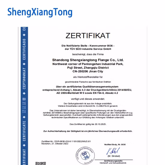 ANSI B16.5/ASTM A105 DIN/GOST/BS Aço Carbono/ Q235 / Aço Inoxidável FF RF Wn/So/Rosqueado/Placa/Soquete Flange Forjada Fabricação na China